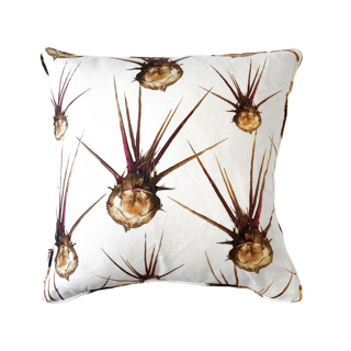 Egyptian Thistle Magenta 50cm Piped Cushion