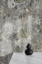 Faded Grandeur  Wallpaper Roll - 10.05m - Stone