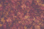 Colour Fields - Wallpaper Roll - 10.05m - Sperrin Jewel